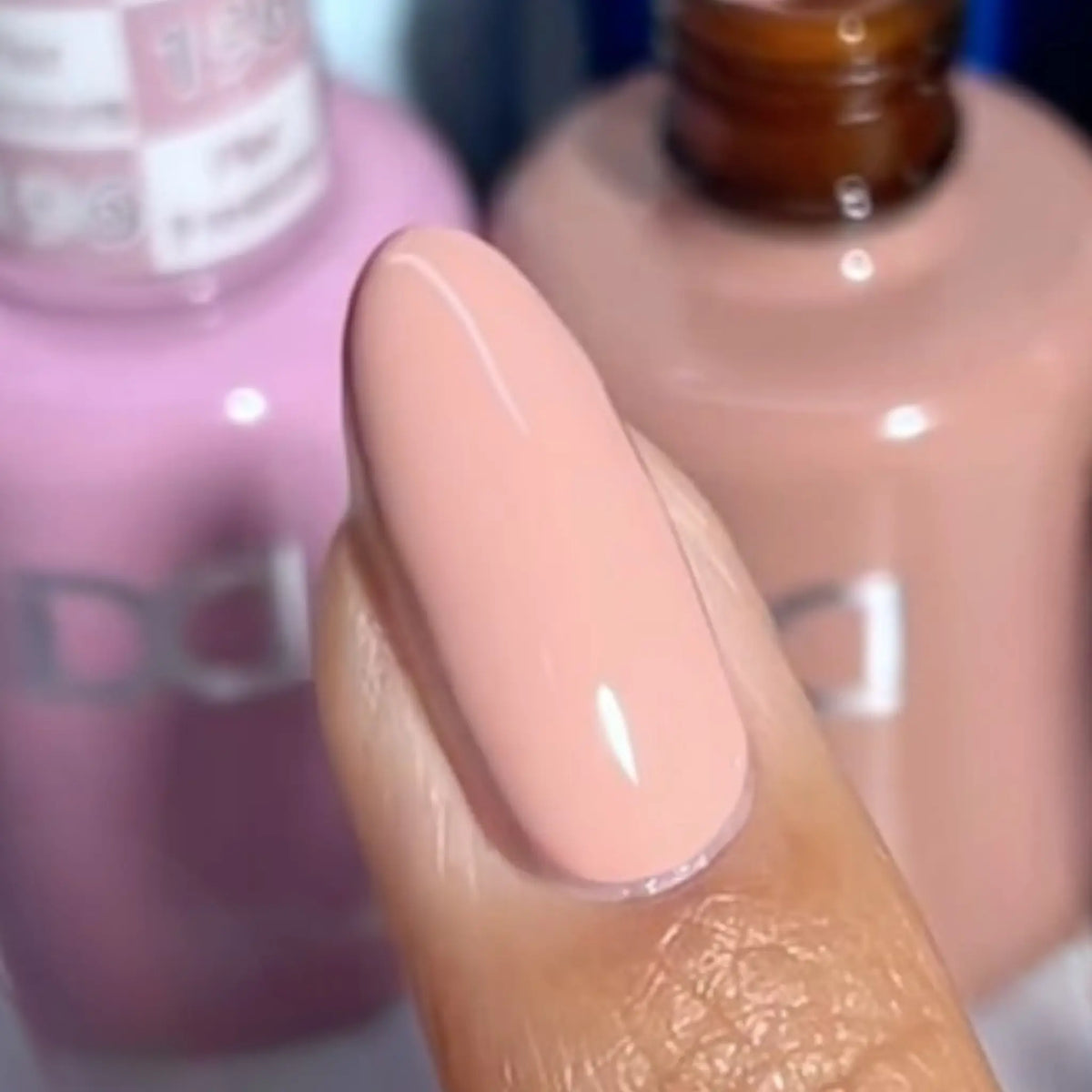 DND Hema Free - Craving A Lobster Roll #193