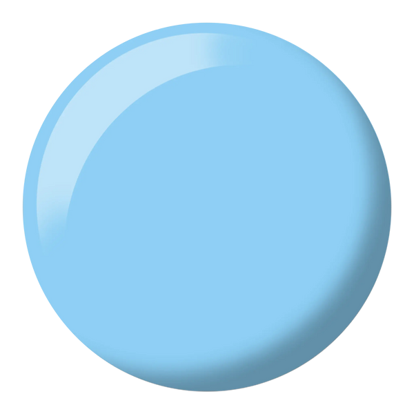 DND Hema Free - Squirtle #211