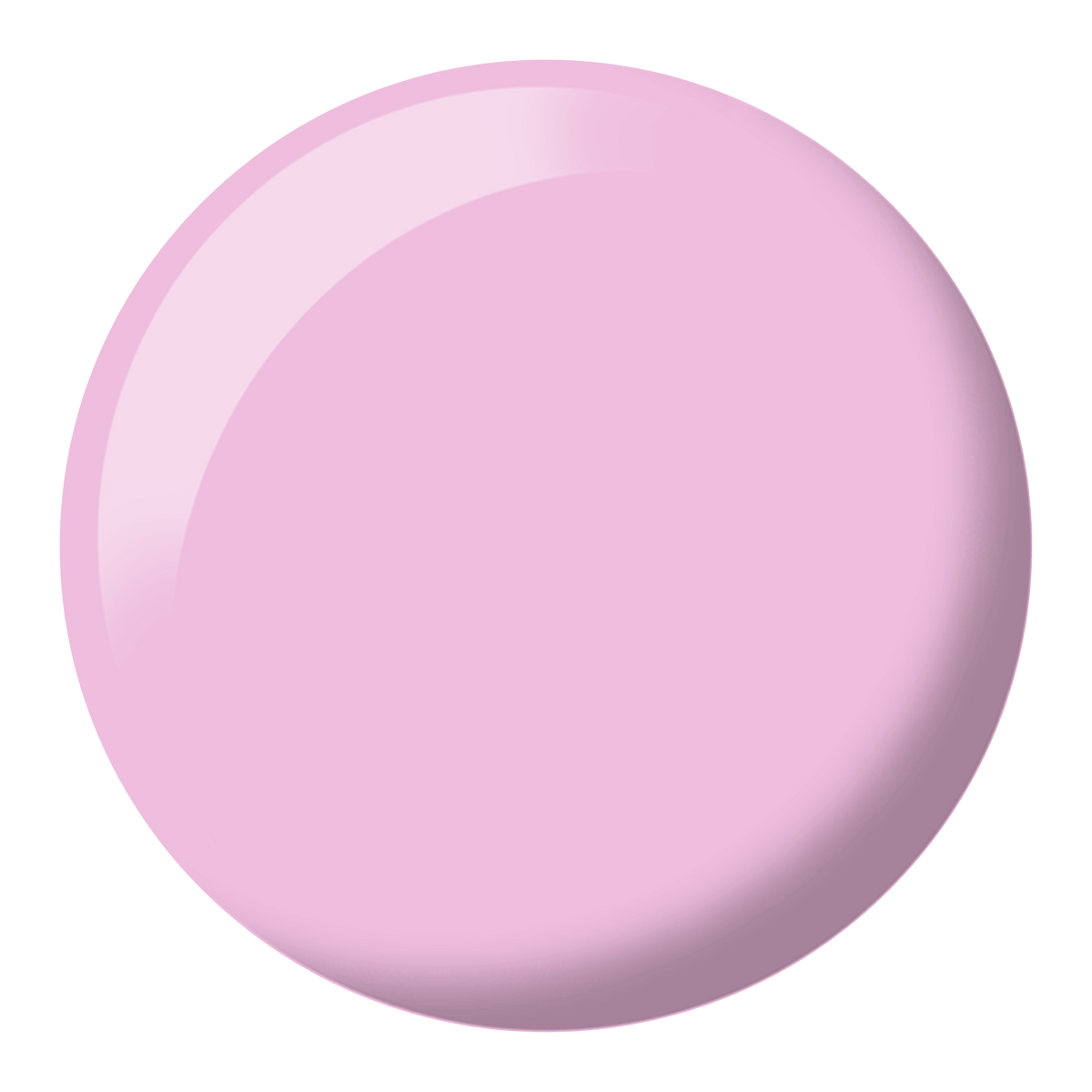 DND - Rose City #535