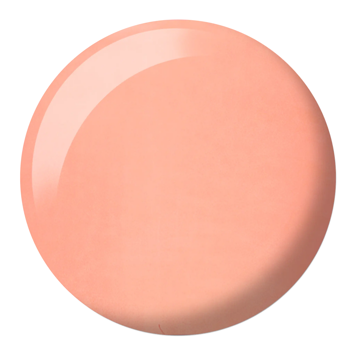 DND - Pink Salmon #586