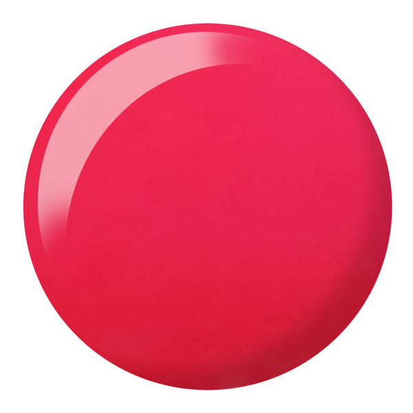 DND - Circus Chic #817