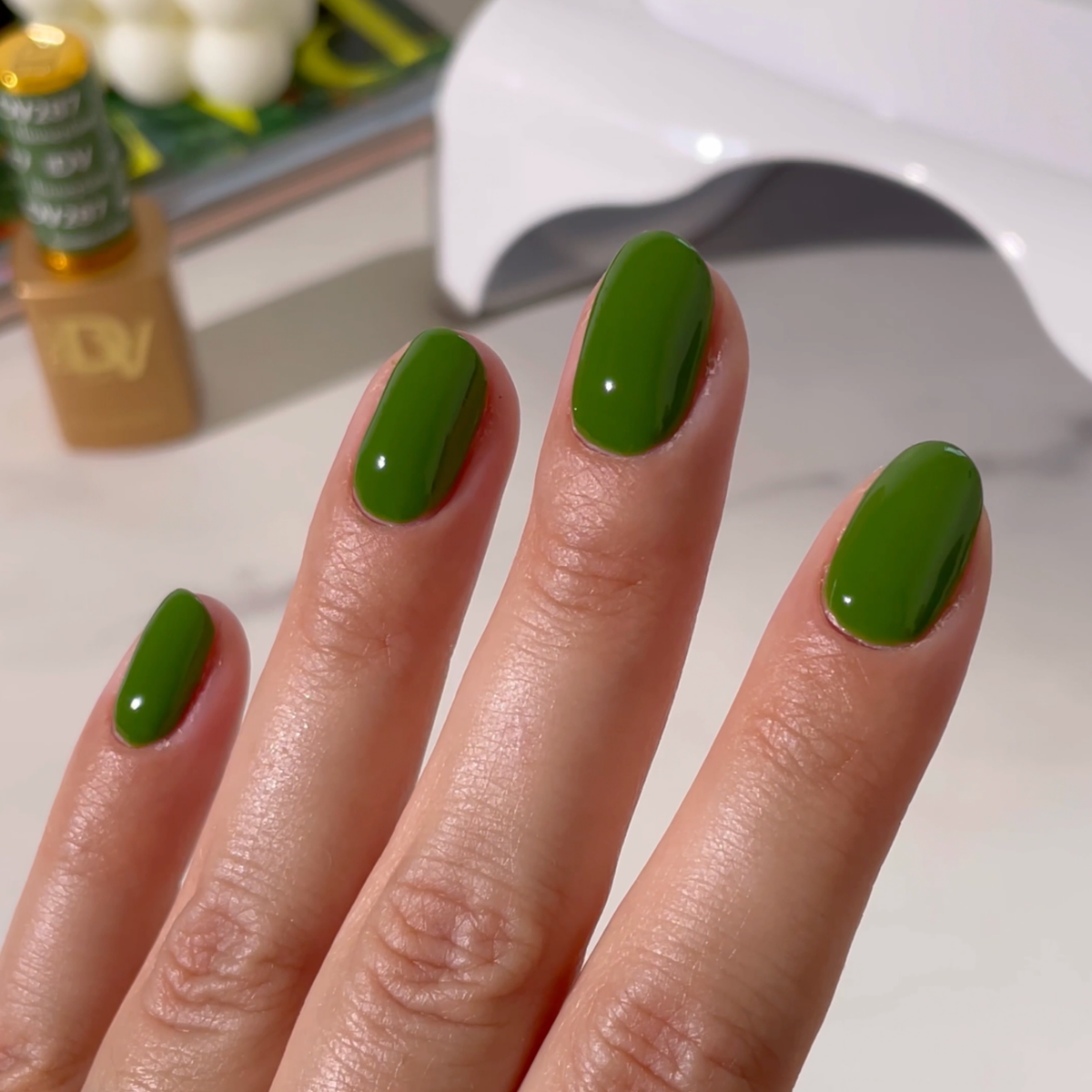 DND Diva - Houseplant #287