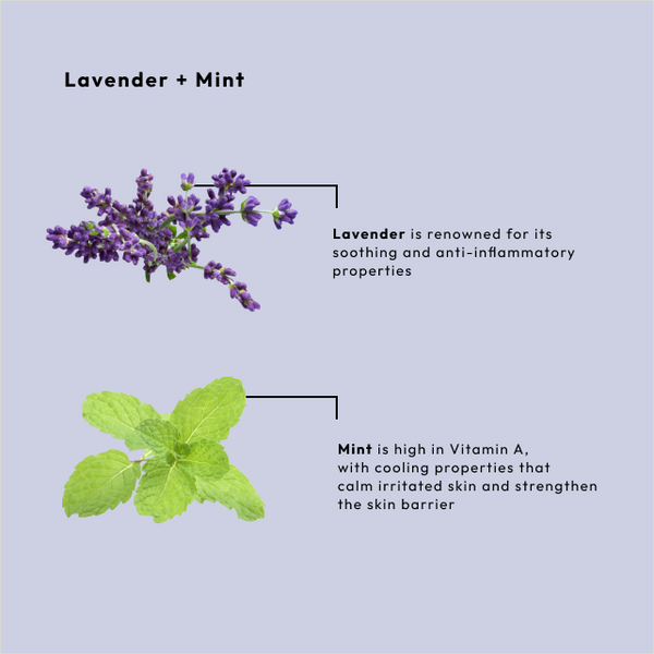 Be Care Love Sugar Scrub - Lavender + Mint