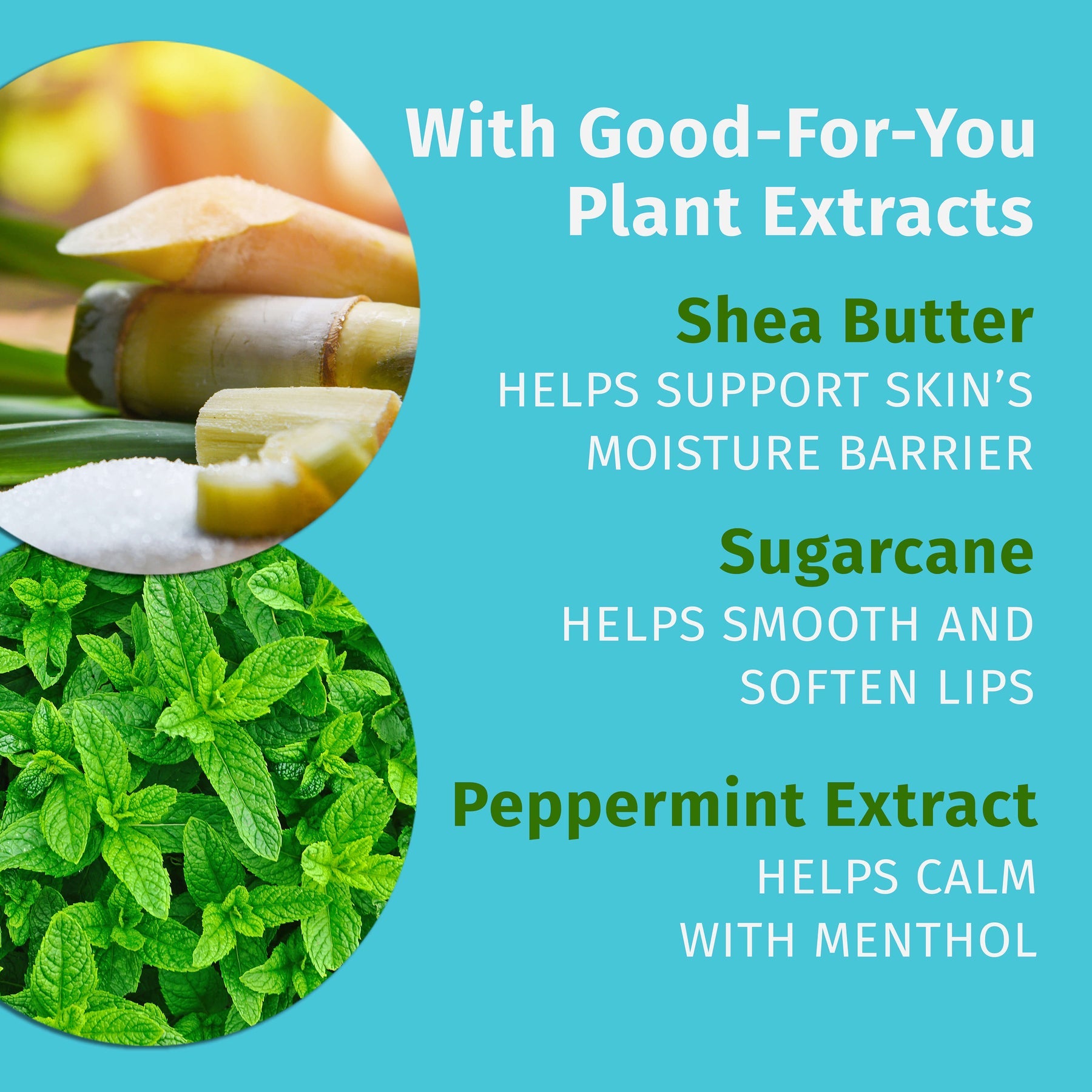 Hempz Crushed Peppermint Sugar Lip Balm