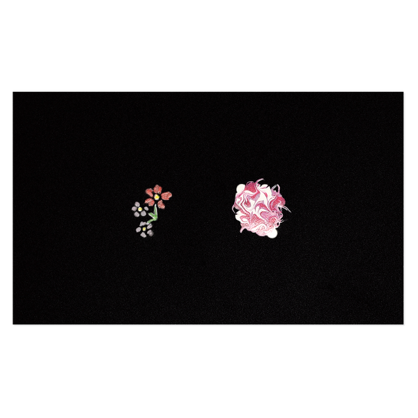 DL Pro Nail Art Drawing Board (DL-C433)