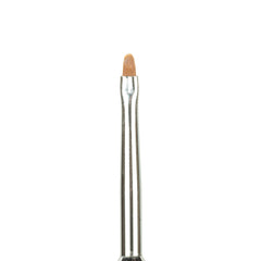 Light Elegance - Celina Ryden Art Brush Set (6pc)