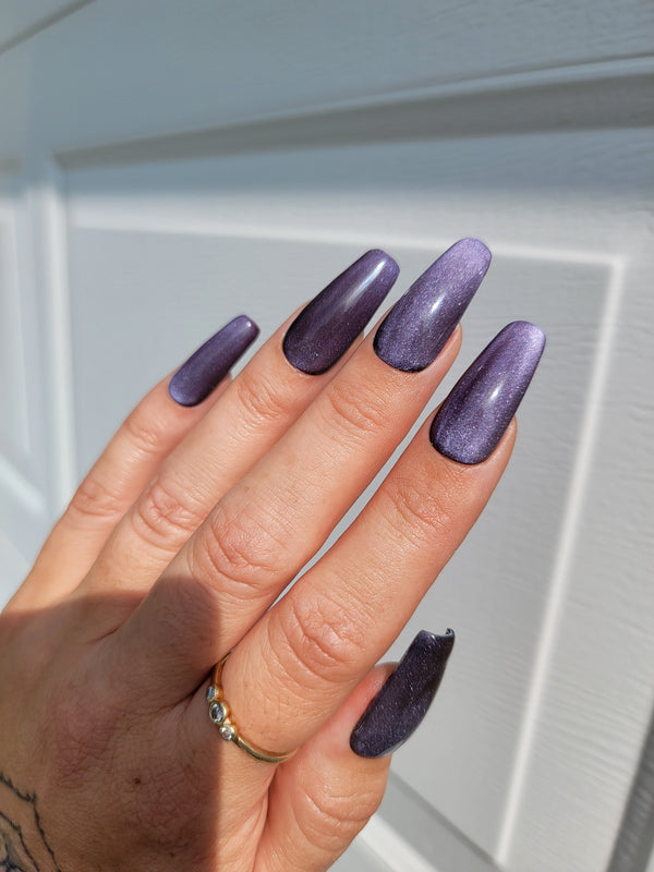 Light Elegance - P+ Cat Eye Illusion Polish Pack (6pk)