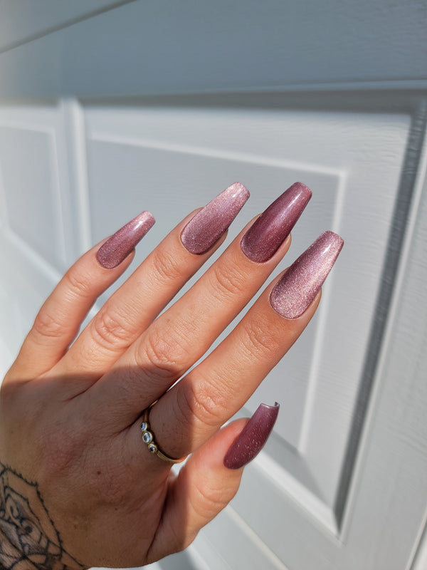 Light Elegance - P+ Cat Eye Illusion Polish Pack (6pk)