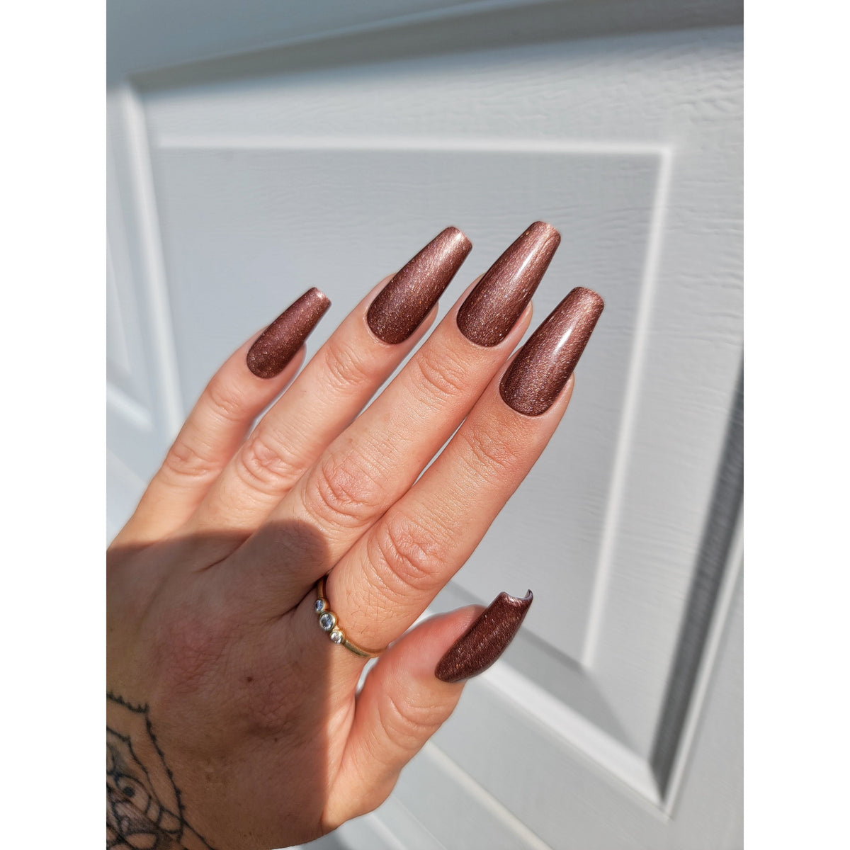 Light Elegance - P+ Cat Eye Illusion Polish Pack (6pk)