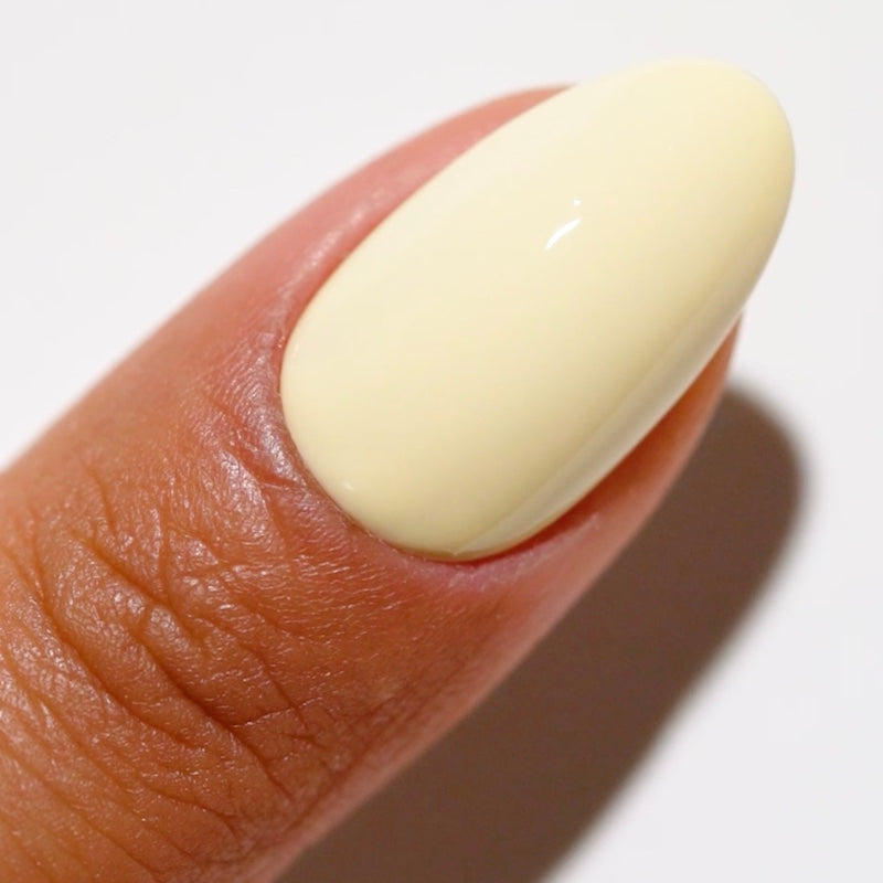 DND DC - Dainty Daisies #2515