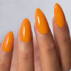 Light Elegance - Farm Fresh ButterCream 5ml