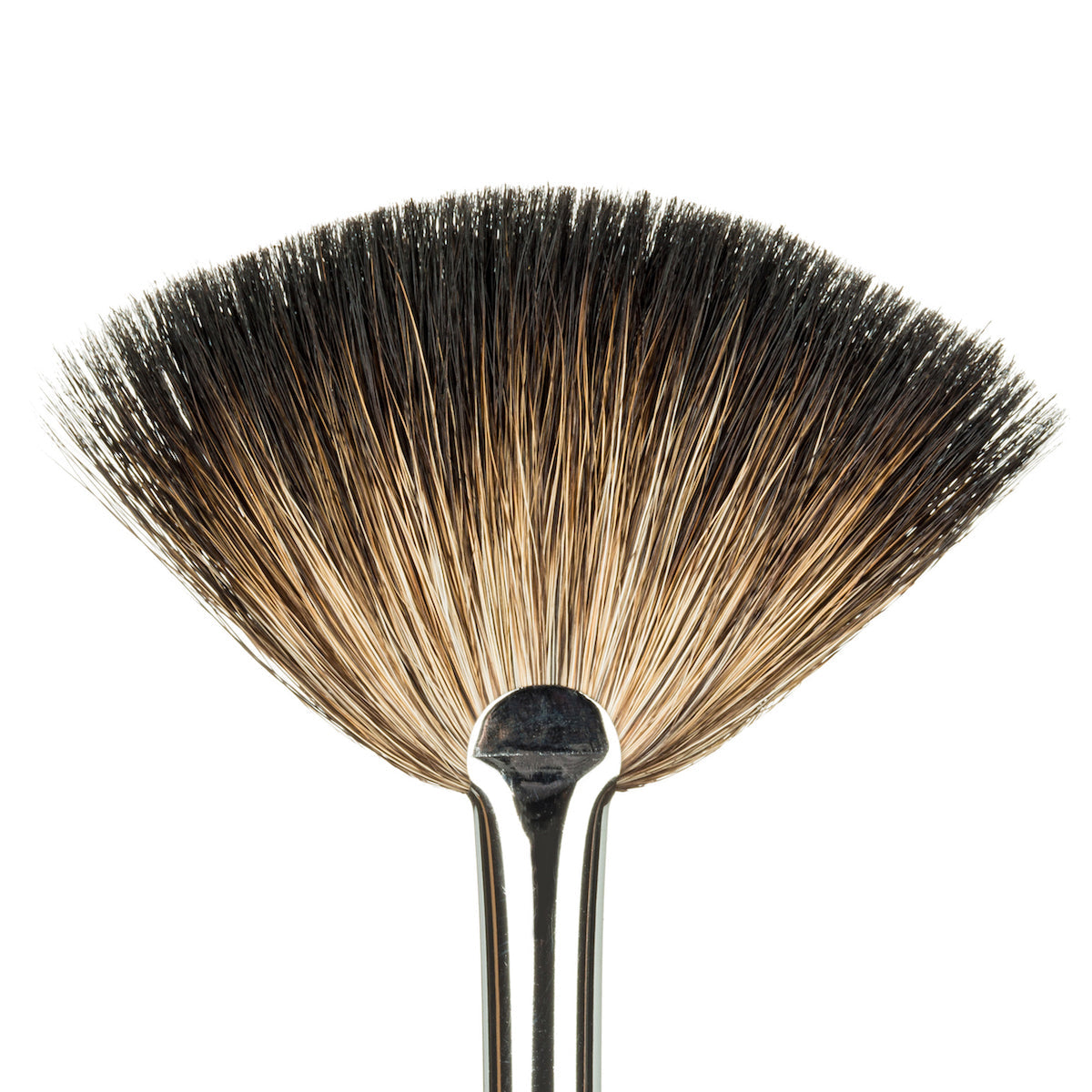 Light Elegance Fluff Daddy Celina Ryden Art Brush Main image
