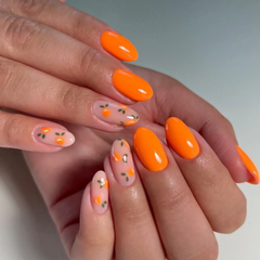 DND - Let's Tango #804