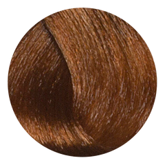 Color Design 8.77/8CH - Light Chocolate Blonde