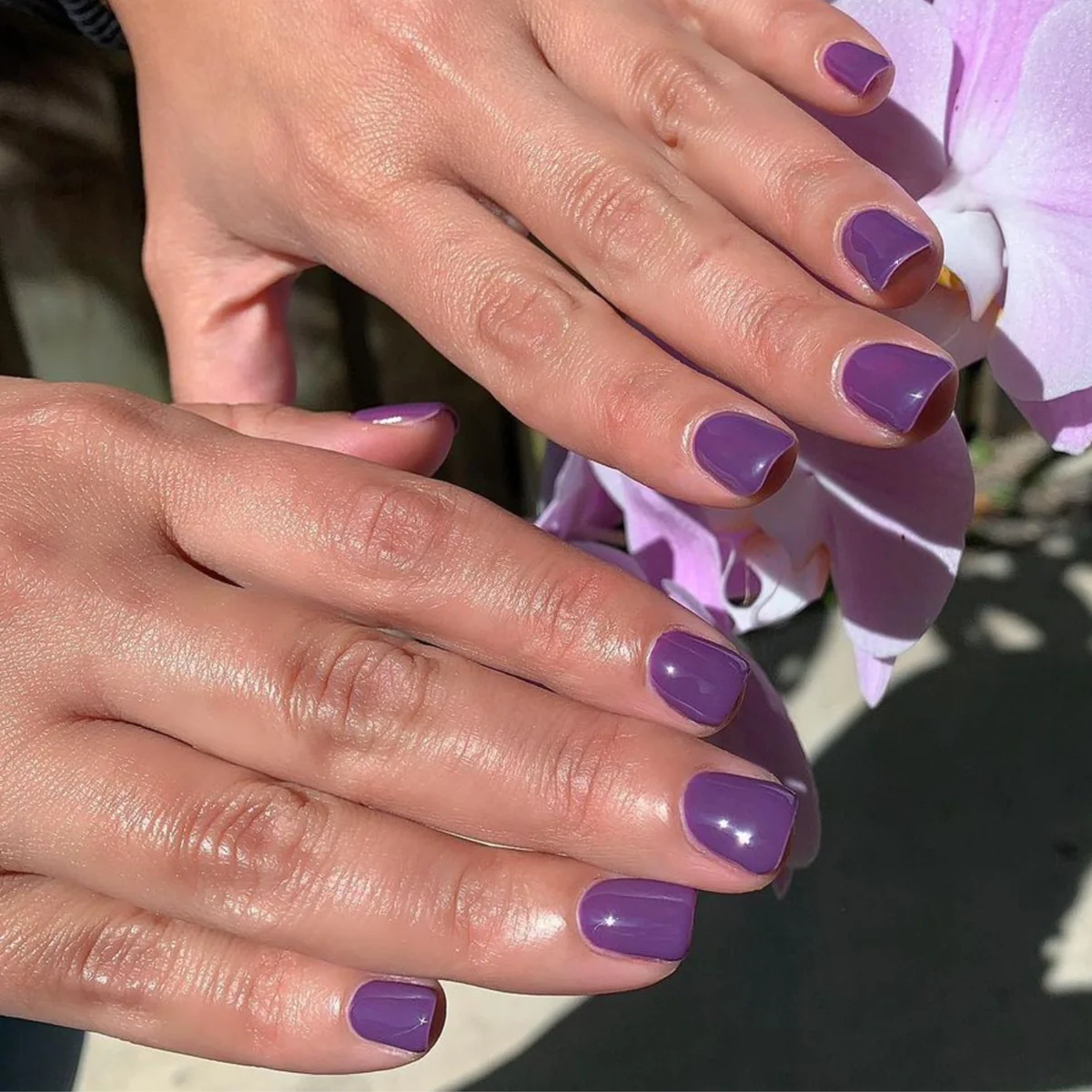 DND DC - Electric Purple #048