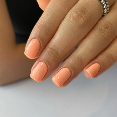 DND - Sweet Apricot #619