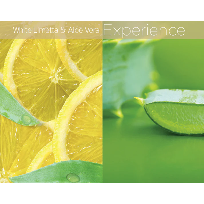 Cuccio Hydrating Butter White Limetta & Aloe Vera 4oz Secondary image