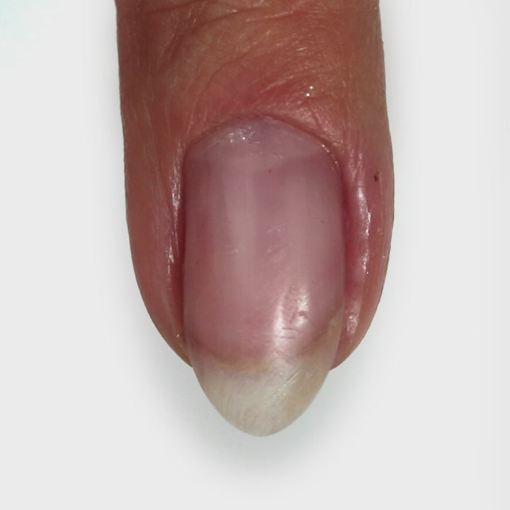 Light Elegance - Frenching ButterCream 5ml