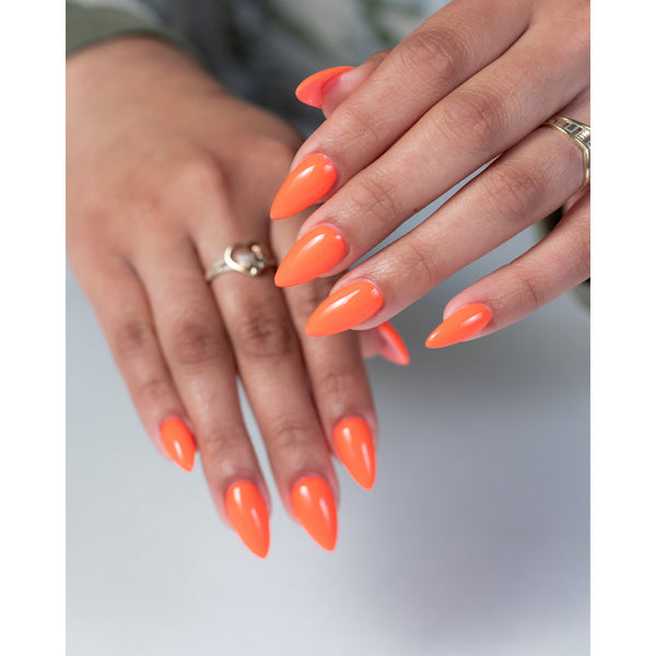 Light Elegance - P+ Trippy Gel Polish - 10ml