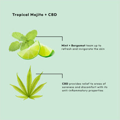 BCL Sugar Scrub - Mojito Mint 16oz
