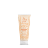 The Potted Plant - Tangerine Mochi Body Lotion
