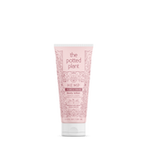 The Potted Plant - Plums & Cream Body Lotion