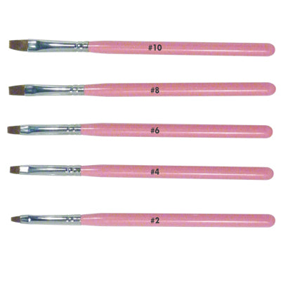 DL Pro 6pc Gel Brush Set With Holder (DL-C316)